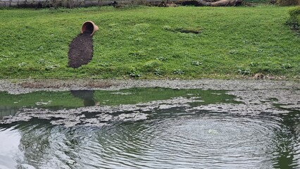 Park lake in the city of Koknese
