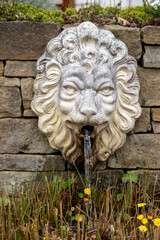 Close up of lion,gargoyle water spout on the historical fountain
