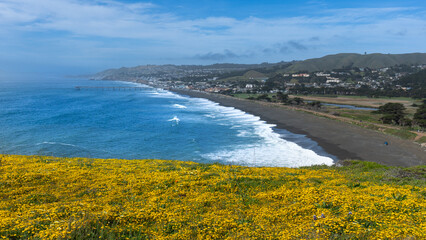view of the ocean bay