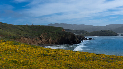 view of the ocean bay