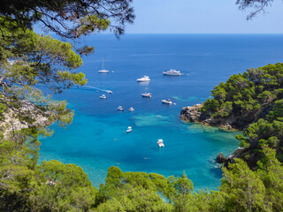 Luxury yachts in turquoise bay lagoon on Tremiti Islands (Isole Tremiti) in Adriatic Sea near the...
