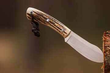 knife type nessmuk with antler grip stuck in wood