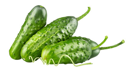 Fresh green cucumber vegetables. Ripe cucumbers veggies. Organic natural food. Isolated. PNG.
