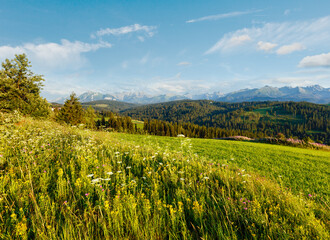 Summer evening mountain village outskirts with pink flowers in front and Tatra range behind (Gliczarow Gorny, Poland)