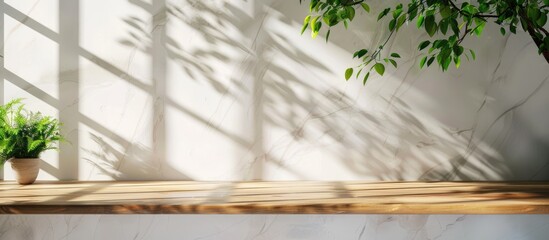 Spring sunlight is shining on the green branches of a tree, casting shadows on a white marble tile wall and a wooden table, with space available for copying.