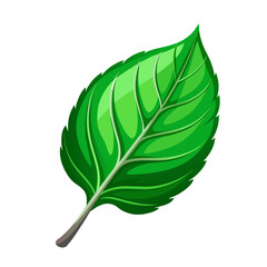 Fototapeta premium Green spring leaf art drawn on white background