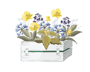 Vector flowers and herbs in a garden wooden white box.