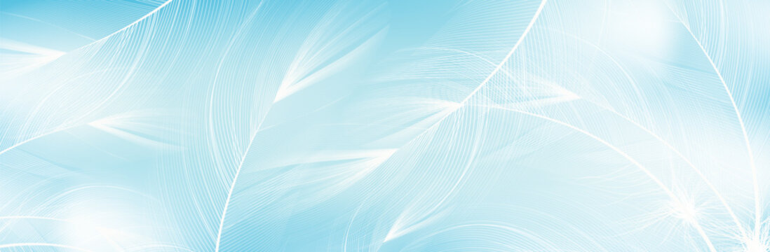 Background of flying realistic vector  goose or swan blue  feathers.Ecological feather filler for pillows, blankets or jackets.Vector concept design.