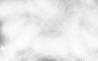 Background of flying realistic vector  goose or swan white feathers.Ecological feather filler for pillows, blankets or jackets.Vector concept design.