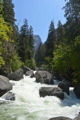 Trees mountains and river in summer in Yosemite National Park