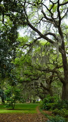 Forsyth Park in the Historic District of Savannah Georgia