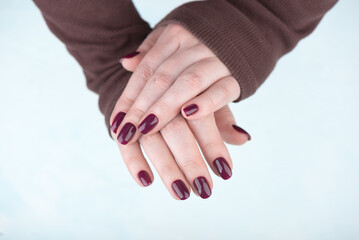 Women's hands in brown sweater with trendy blackberry color manicure on nails.