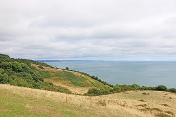 Coast of South Devon above Maidencombe