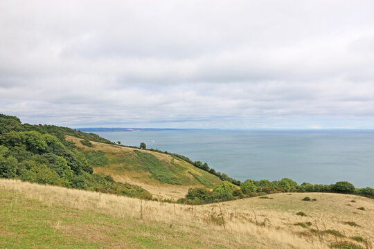 Coast of South Devon above Maidencombe
