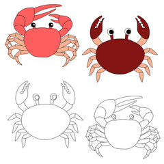 Crab Clipart. Aquatic Animal Clipart for Lovers of Underwater Sea Animals, Marine Life, and Sea Life