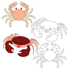 Fototapeta premium Crab Clipart. Aquatic Animal Clipart for Lovers of Underwater Sea Animals, Marine Life, and Sea Life