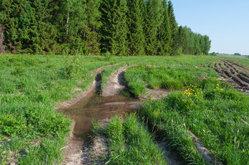 Country landscape, dirt road along the forest edge, big puddle, spring time