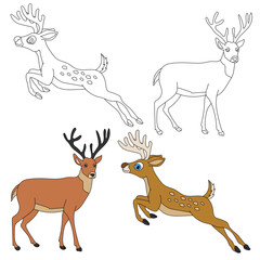 Deer Clipart. Wild Animals clipart collection for lovers of jungles and wildlife. This set will be a perfect addition to your safari and zoo-themed projects.