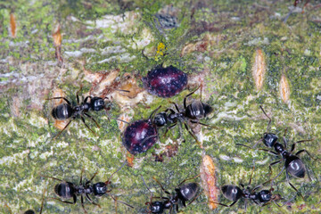 Fototapety na wymiar - Fototapeta24.pl