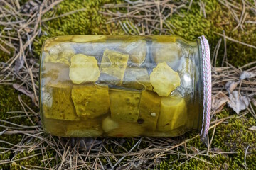 one glass jar with green canned cucumbers lying on the moss on the street
