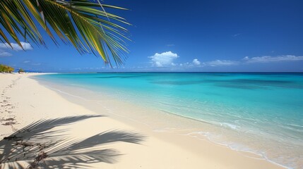 Fototapeta na wymiar Symbolic palms luxurious beach relaxation for aesthetes seeking a lavish lifestyle