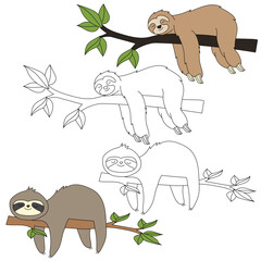 Obraz premium Sloth Clipart. Wild Animals clipart collection for lovers of jungles and wildlife. This set will be a perfect addition to your safari and zoo-themed projects.