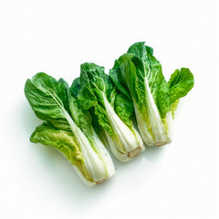 studio photograph of a lettuce with white background, zenithal view