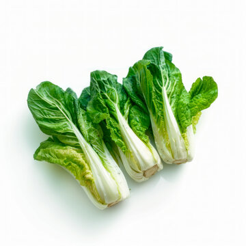 studio photograph of a lettuce with white background, zenithal view