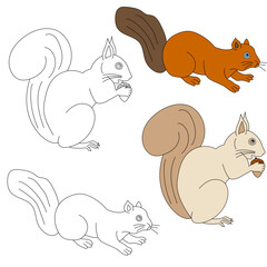 Squirrel Clipart. Wild Animals clipart collection for lovers of jungles and wildlife. This set will be a perfect addition to your safari and zoo-themed projects.