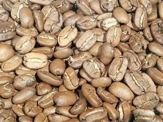 Kaffe - Kaffeebohnen Hintergrund - Genussmittel Aroma und Sorten - Ernte auf der Plantage