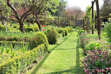 path in the garden