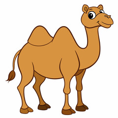 Bactrian camel, a camel has two humps, in full growth, completely, entirely, on a white background