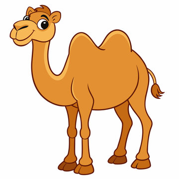 Bactrian camel, a camel has two humps, in full growth, completely, entirely, on a white background