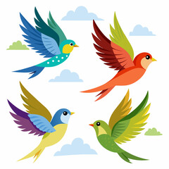 Four kinds of beautiful birds are flying in the sky white background