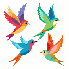 Obraz premium Four kinds of beautiful birds are flying in the sky white background