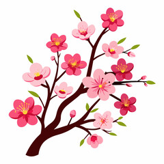 Plum blossom vector illustration an white background