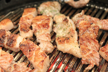 delicious grilled meat on barbecue