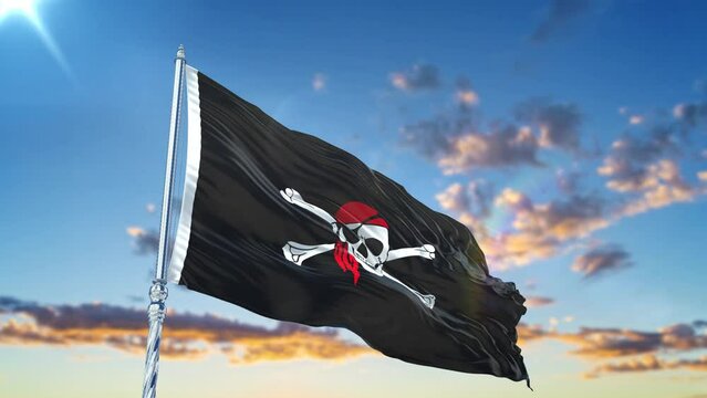 Pirate Flag flag