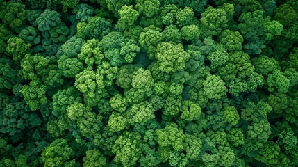 Fotobehang Lush Green Forest Canopy from Aerial Drone Perspective Generative AI © Stefan