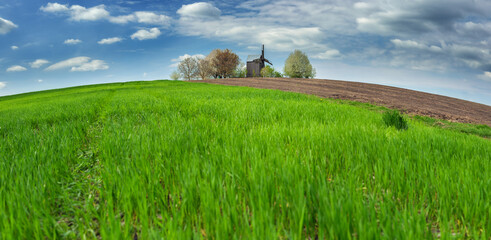 wide angle view to field of green wheat and old wooden mill on curved hill in spring day