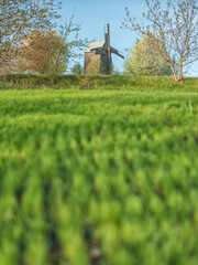 portrait view to old wooden mill from green field