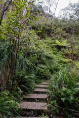 Nature's Staircase: Hiking Trails in Blue Mountains National Park