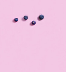 Fototapeta premium blueberries on a pink background