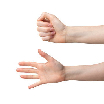 Open and closed fist, palm gestures. Hand showing signs, clenched fingers, empty space for symbol.