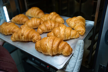 Woman baker removing baking sheet with baked tasty croissants from oven
