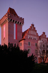 Zamek królewski w Poznaniu