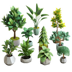 Attractive and Beautiful Poly Plant Collection isolated on white background 