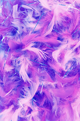 close up of the costume feathers details  background
