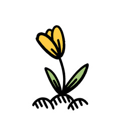 one yellow tulip flower isolated on white. Vector hand drawn illustration.