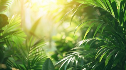 Sunlight filtering through vibrant green foliage in a lush garden, background 